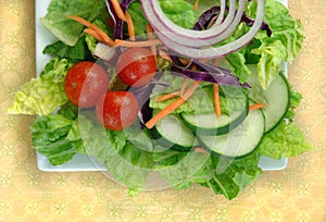 Garden Salad on Square Plate