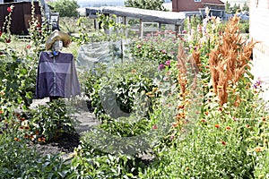 Garden scarecrow from crows in the garden