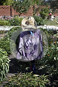 Garden scarecrow from crows in the garden