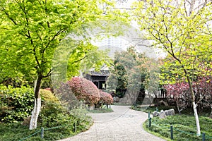 Garden scenery