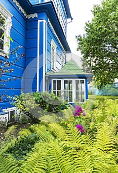 Garden scenery of blue wooden old house with alive plants flowers and trees with leaves on a sprong summer day greenery floral nat