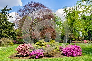 Garden in Schoenbrunn Palace in Vienna, Austria