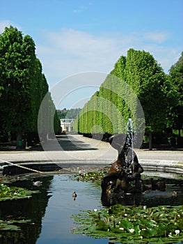 Garden of the Schoenbrunn palace, Vienna, Austria