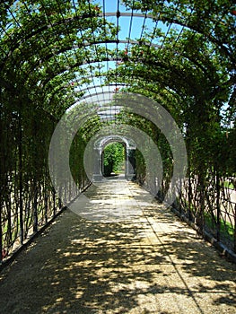 Garden of the Schoenbrunn palace, Vienna, Austria