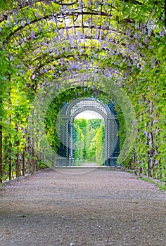 Garden of Schonbrunn Palace in Wien, Austria