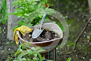 Garden Scoop and Garden Gloves in Flower Pot