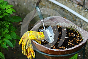 Garden Scoop and Garden Gloves in Flower Pot