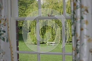 Garden Seat Seen through window