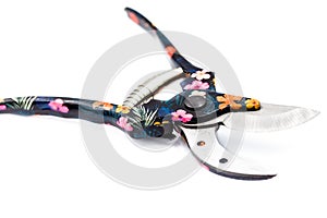 Garden secateurs with beautiful floral ornamental pattern isolated on a white background.