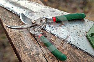 Garden secateurs and saw lying on an old wooden surface. Old garden tools. Work in the garden. Natural lighting