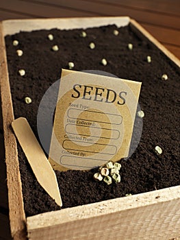 Garden seed bag with seeds