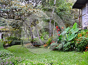 Garden in Selva Negra (Ecolodge), Matagalpa, Nicaragua. photo