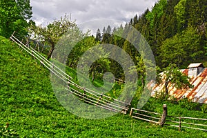 Garden at settlement at Moce