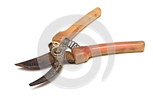 Garden Shears photo