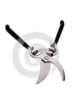 Garden shears