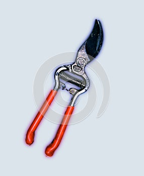 Garden Shears