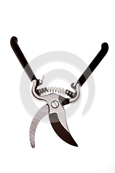 Garden shears isolated