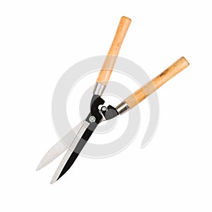 Garden shears isolated