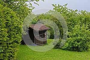 Garden shed in countryside backyard by lush green nature