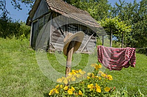 Garden Shed with a hat on a fence