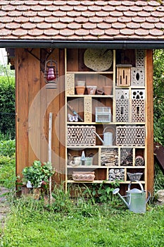 Garden shed with insect hotel