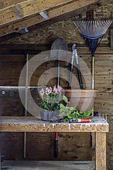 Garden Shed with Tools