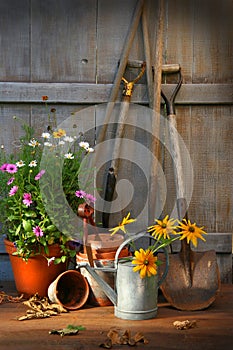 Garden shed with tools and pots photo