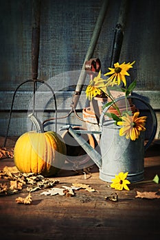 Garden shed with tools, pumpkin and flowers