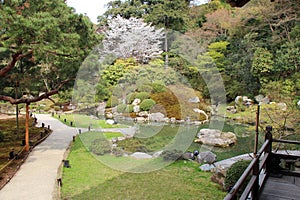 garden of the shoren-in temple in kyoto (japan)