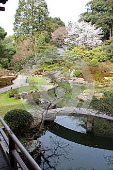 garden of the shoren-in temple in kyoto (japan)