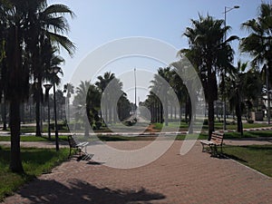 Garden sidi rahhal morocco