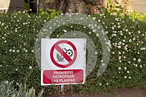 Garden with the sign in Spanish `forbidden to damage plants` photo