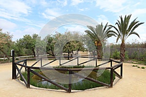 Garden with a small lagoon in the Interpretation Center of the El Hondo Natural Park