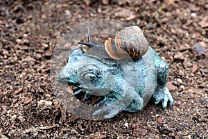 Garden snail crawls on a bronze frog. Mollusk and garden decoration.