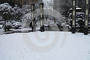 The garden and the snow