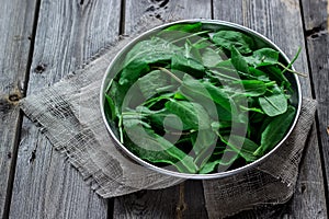 Garden sorrel in a bowl on wooden table. Style rustic. .