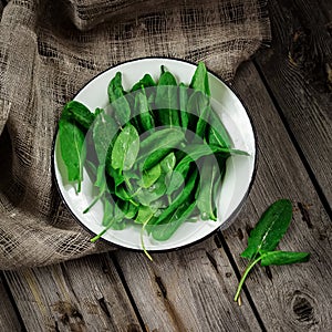 Garden sorrel in a bowl on wooden table. Style rustic. .