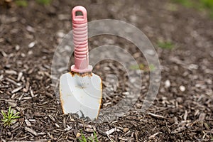 Garden Spade Stuck in Dirt, Gardening