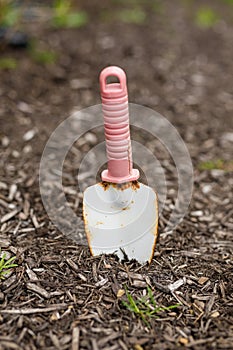 Garden Spade Stuck in Dirt, Gardening