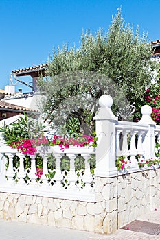 Garden of a Spanish house