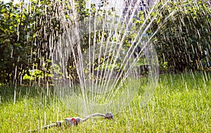 Garden sprinkler grass watering