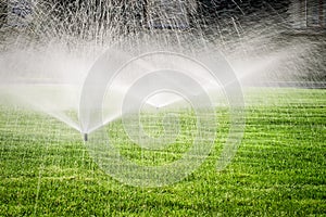 Garden sprinkler on the green grass field