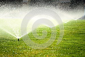 Garden sprinkler on the green lawn