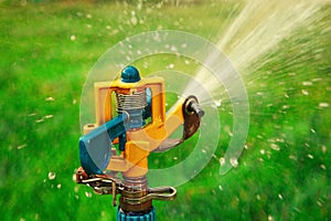 Garden sprinkler head spraying water