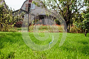 garden sprinkler irrigates the lawn, gardening and landscaping concept photo