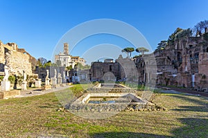 garden, stage and fountain inside the palatine hill in the space of the priestly order, Rome, Italy