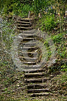 Garden Staircase at Bramasole