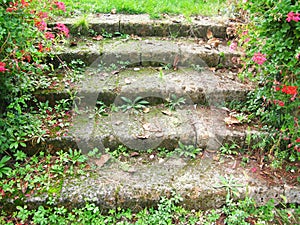 Garden stairs