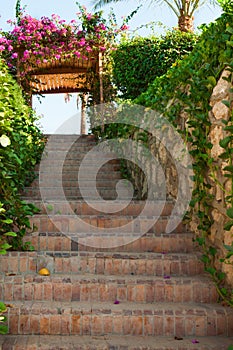 Garden Stairway with Floral Trellis