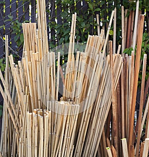 Garden Stakes